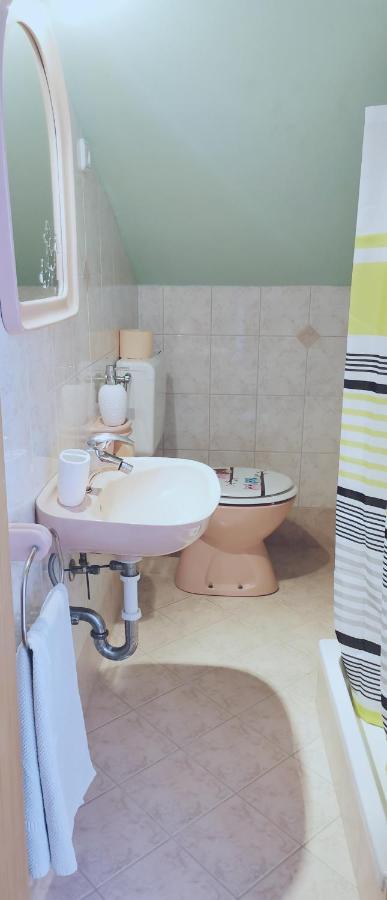 Jancic Apartmán Medulin